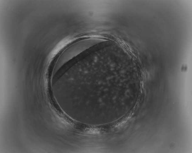 X0000091560295200708171331