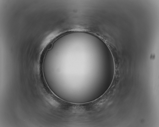 X0000091560296200708171331