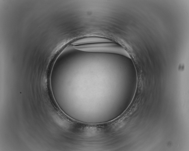 X0000091560298200708171331