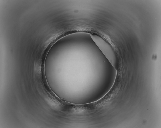 X0000091560299200708171331