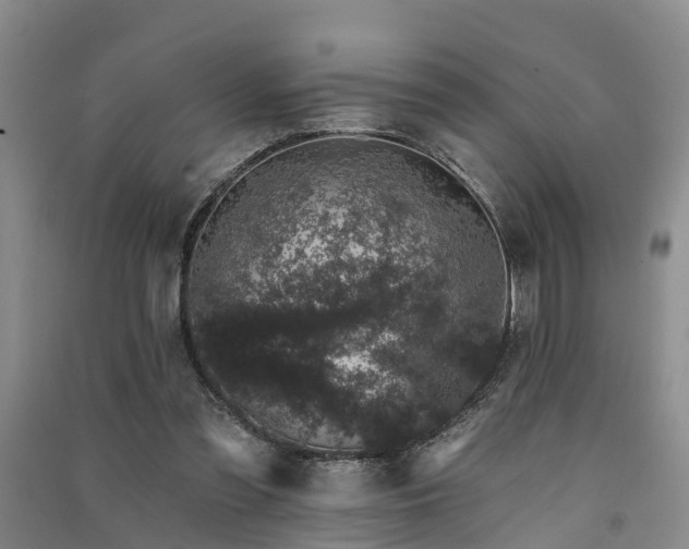 X0000091560301200708171331