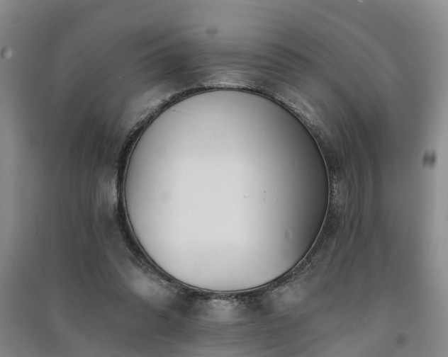 X0000091560302200708171331