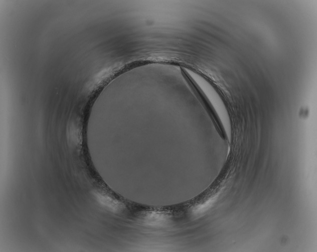 X0000091560303200708171331