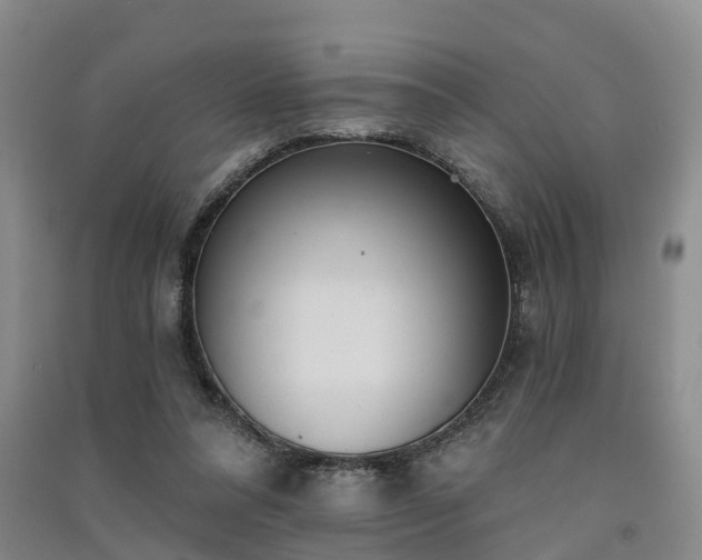 X0000091560304200708171331