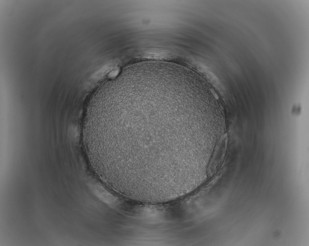 X0000091560305200708171331