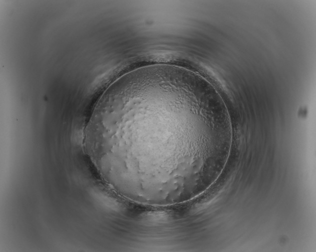 X0000091560307200708171331