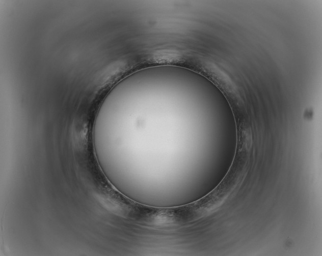 X0000091560308200708171331