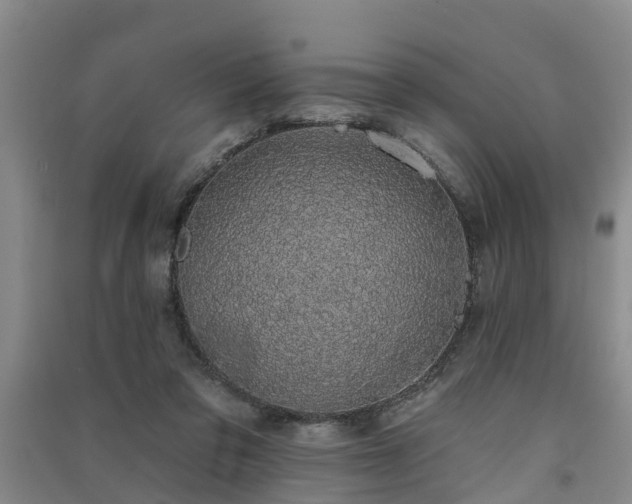 X0000091560309200708171331