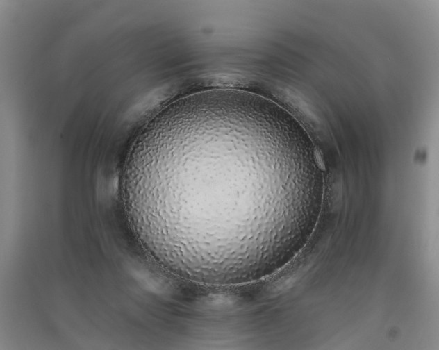 X0000091560310200708171331