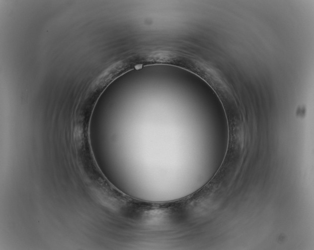 X0000091560312200708171331