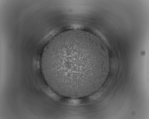 X0000091560313200708171331