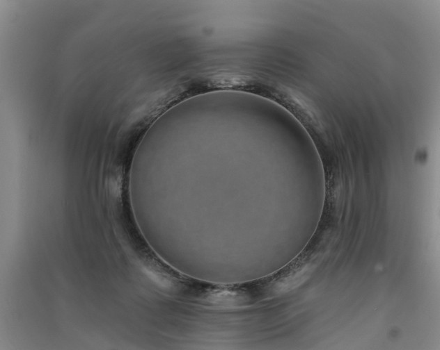 X0000091560315200708171331