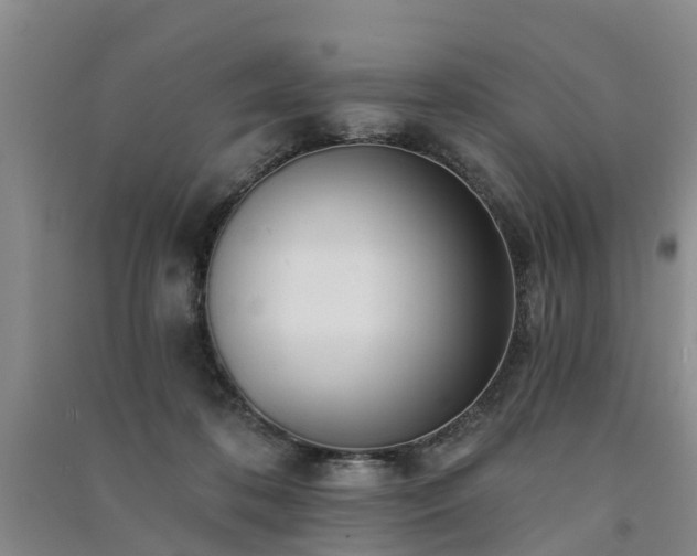 X0000091560316200708171331