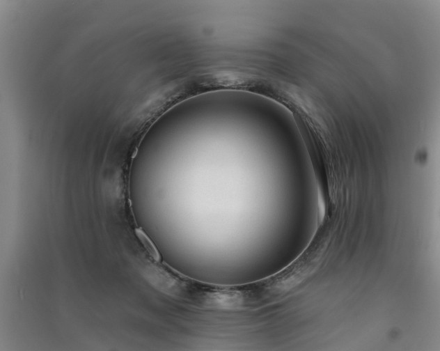 X0000091560317200708171331