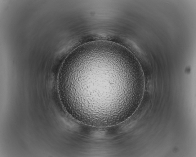 X0000091560318200708171331