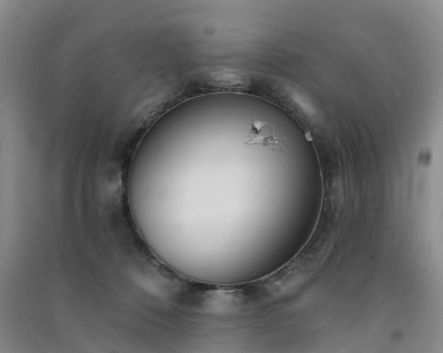 X0000091560320200708171331