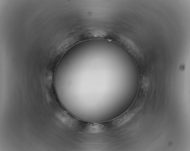 X0000091560321200708171331