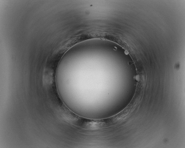 X0000091560323200708171331