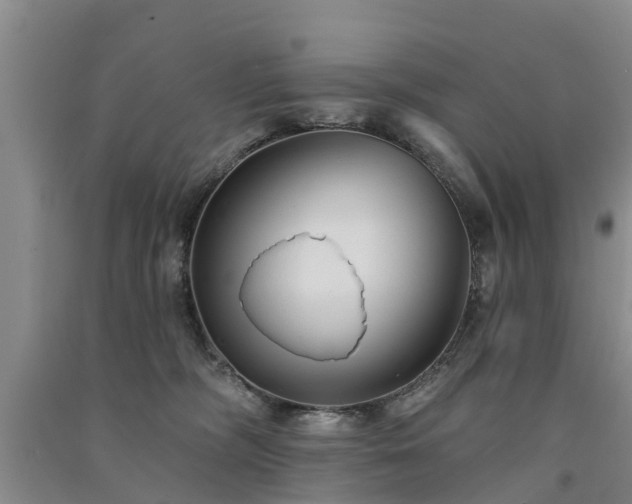 X0000091560326200708171331