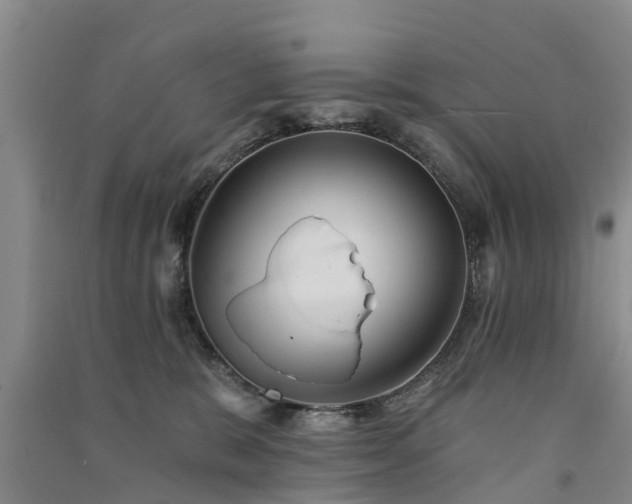 X0000091560327200708171331