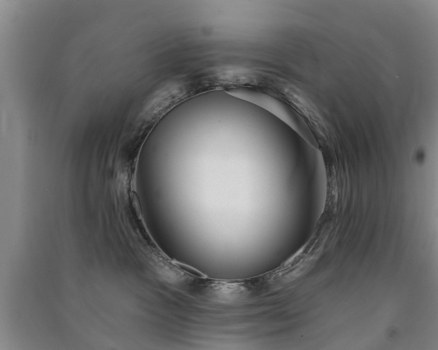 X0000091560333200708171331