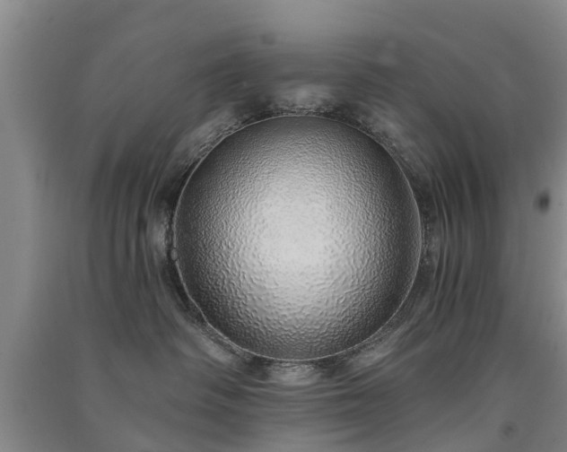 X0000091560334200708171331