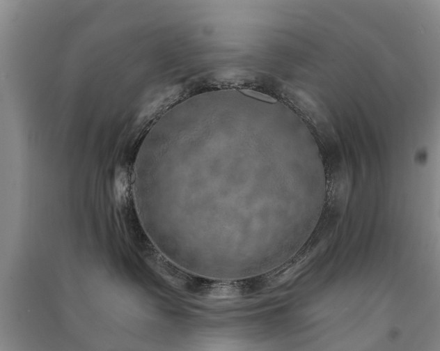 X0000091560335200708171331