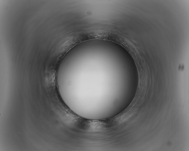 X0000091560336200708171331