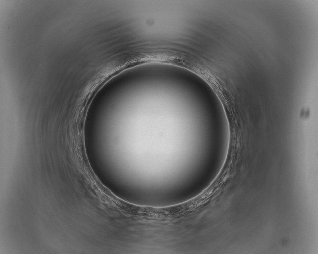 X0000091560337200708171330