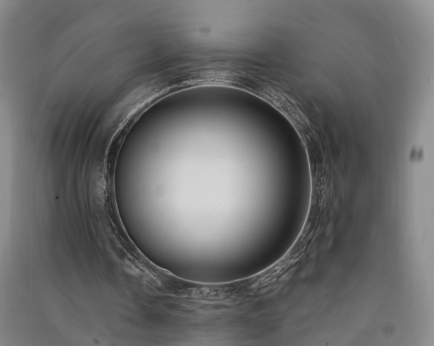 X0000091560338200708171330