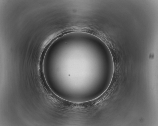 X0000091560340200708171330