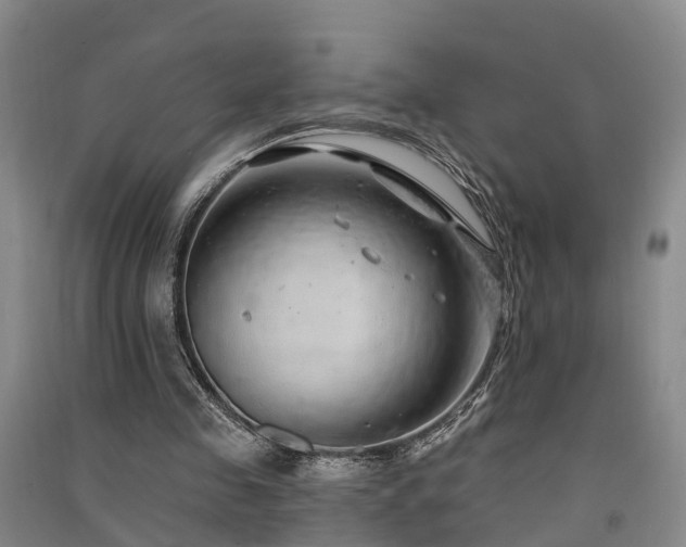 X0000091560341200708171330