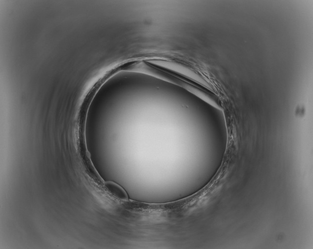 X0000091560342200708171330