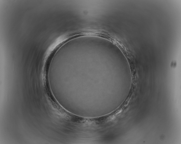 X0000091560343200708171330