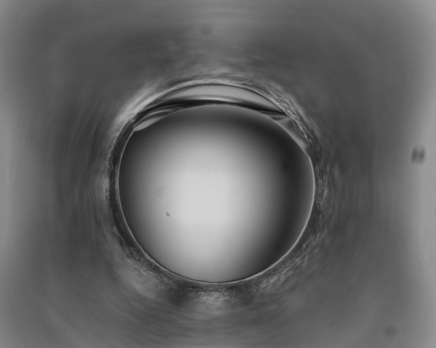 X0000091560344200708171330