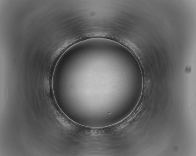 X0000091560345200708171330