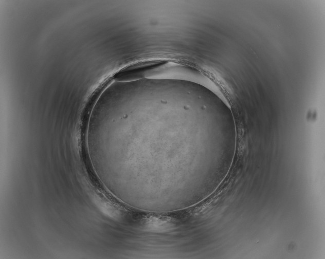 X0000091560346200708171330