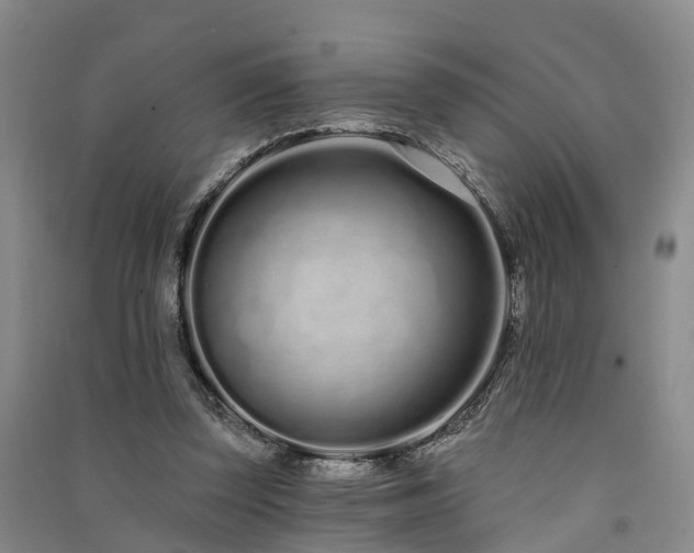 X0000091560347200708171330