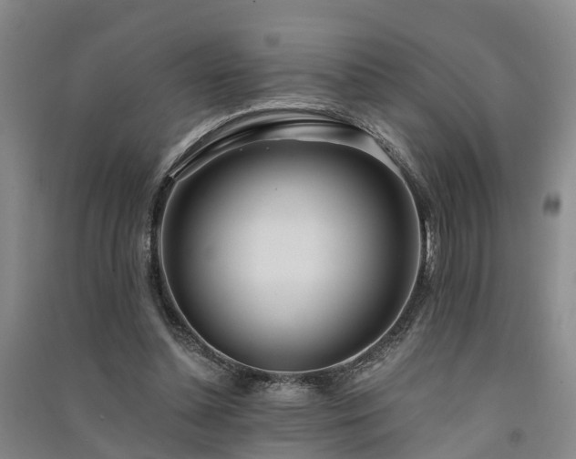 X0000091560348200708171330