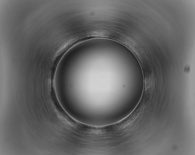 X0000091560349200708171330