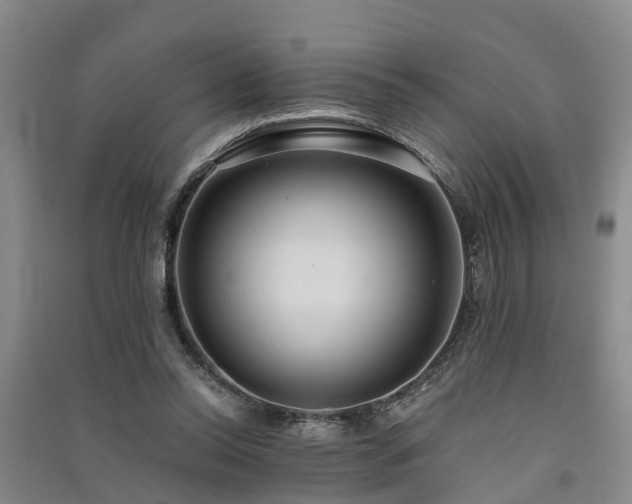 X0000091560350200708171330