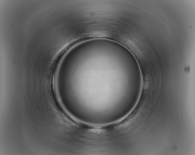 X0000091560351200708171330