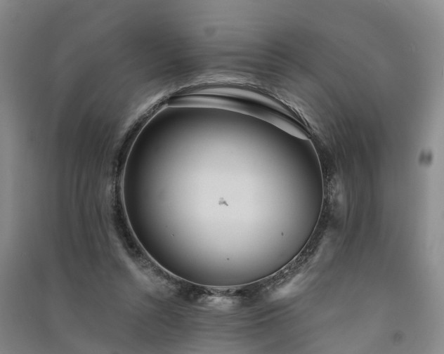 X0000091560352200708171330