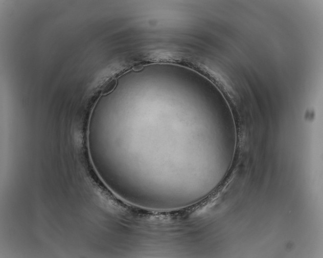 X0000091560353200708171330