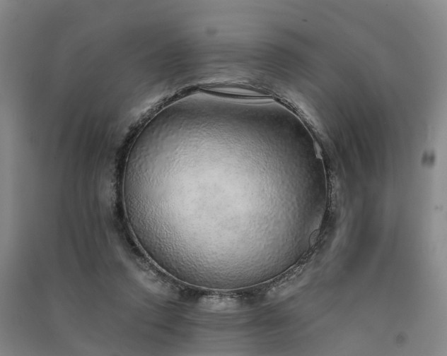 X0000091560354200708171330