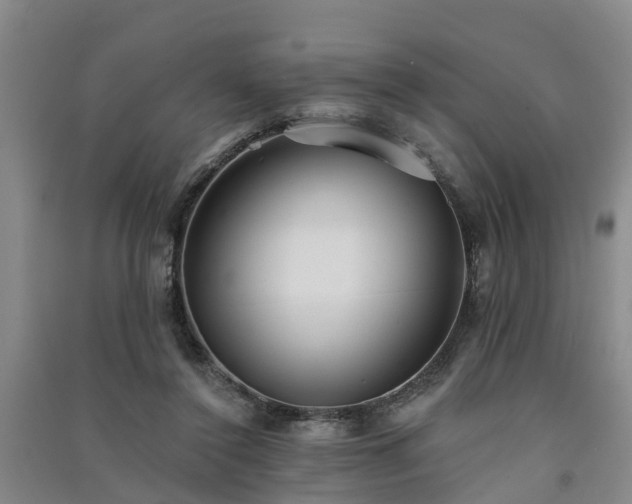 X0000091560356200708171330