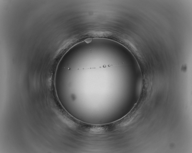 X0000091560357200708171330