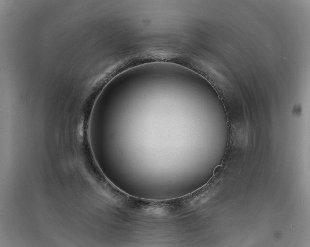 X0000091560358200708171330