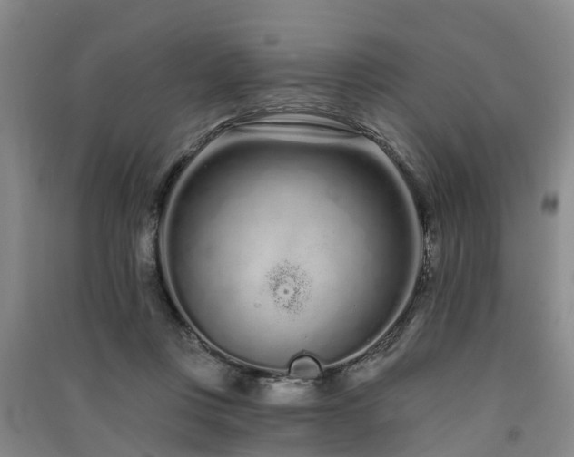 X0000091560359200708171330