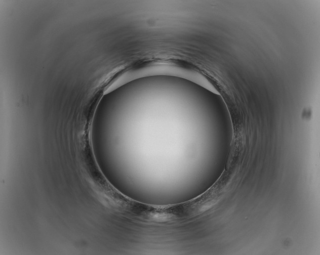 X0000091560360200708171330